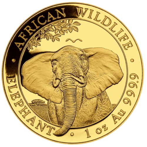 Vorderseite Goldmünze 1 Unze Somalia Elefant 2021, der Hersteller Bayerisches Hauptmünzamt