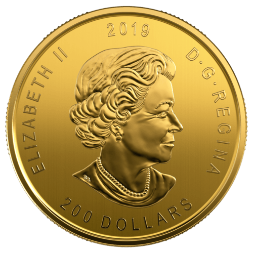 1 Unze Gold Kanada Elch 2019 Wertseite