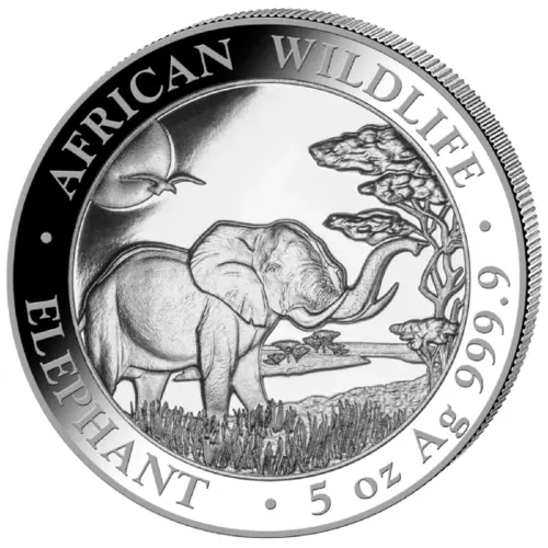 Vorderseite der 5 Unzen Silber Somalia Elefant 2019 von Hersteller Geiger Edelmetalle Vorderseite der 5 Unzen Silber Somalia Elefant 2019 von Hersteller Geiger Edelmetalle