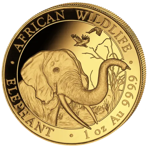 71605552018 20_1oz_elefant_au_vs