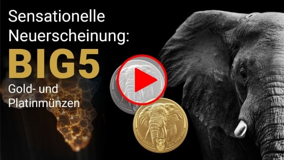 Big 5 Gold- und Platinmünzen aus Südafrika