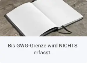 Bis GWG-Grenze wird NICHTS erfasst. Bis GWG-Grenze wird NICHTS erfasst.