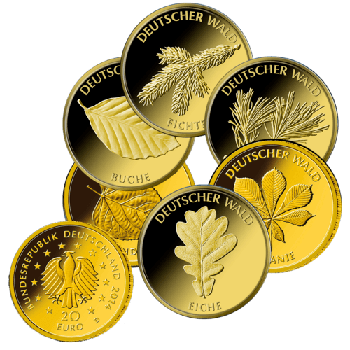 unterschiedliche Vorderseiten und einheitliche Rückseite von Goldmünzen 1/8 Unze 20 Euro Deutscher Wald diverse Jahrgänge