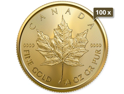 100 x 1/4 Unze Gold Maple Leaf 2023 100 x 1/4 Unze Gold Maple Leaf 2023