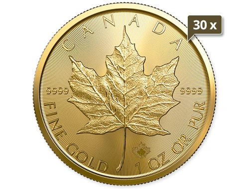 30 x 1 Unze Gold Maple Leaf 2024 30 x 1 Unze Gold Maple Leaf 2024