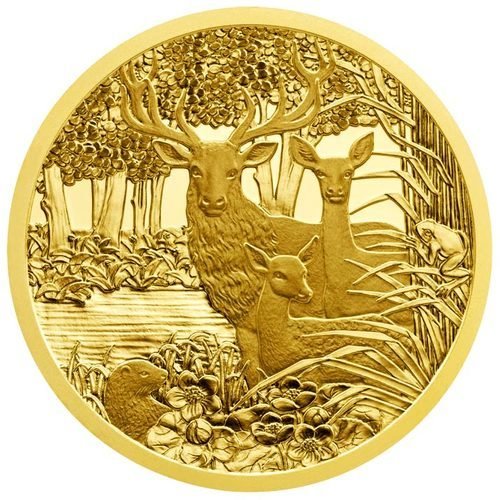 100 Euro Goldmünze Unseren Wildtieren auf der Spur Rothirsch 2013