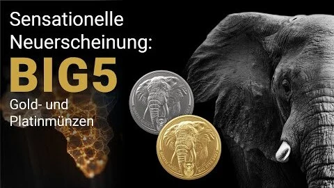 Big 5 Gold- und Platinmünzen aus Südafrika Big 5 Gold und Platinmünzen aus Südafrika