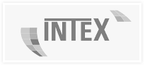 Intex logo