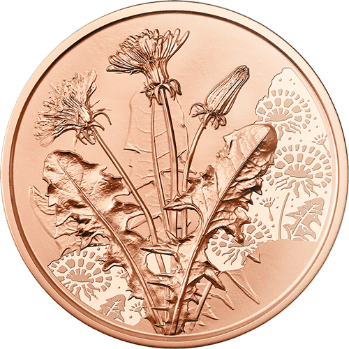 15 g copper collector coin 2022 dandelion