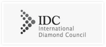 Logo IDC