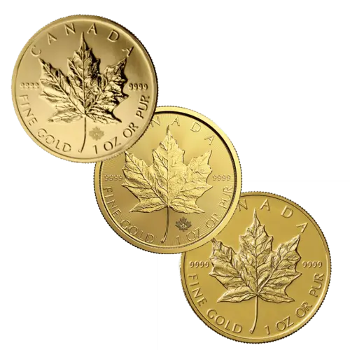 Vorderseiten 1 Unze Gold Maple Leaf diverse Jahrgänge Vorderseiten 1 Unze Gold Maple Leaf diverse Jahrgänge