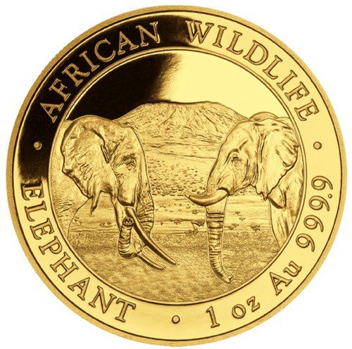 Vorderseite 1 Unze Gold Somalia Elefant 2020, von dem Hersteller Bayerisches Hauptmünzamt