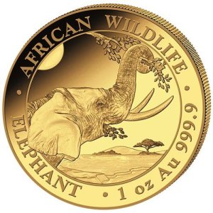 1 Unze Gold Somalia Elefant 2023_Motiv