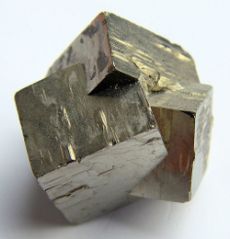Pyrit in würfelförmigen Kristallen. Fundort unbekannt.