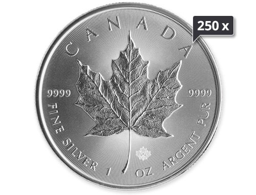 250 x 1 Unze Silber Maple Leaf diverse Jahrgänge