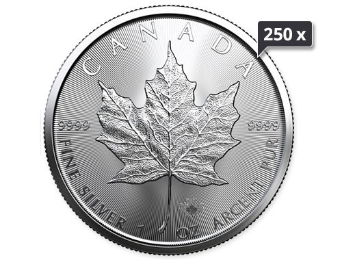 250 x 1 Unze Silber Maple Leaf 2023