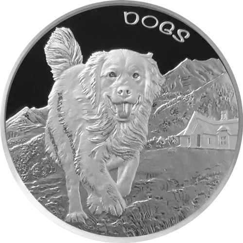 Vorderseite der 1 Unze Silber Fiji Dogs 2022 von Hersteller New Zealand Mint Vorderseite der 1 Unze Silber Fiji Dogs 2022 von Hersteller New Zealand Mint